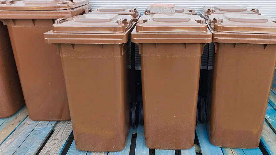 Surge in brown bin waste colleciton Image