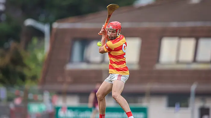 COUNTY HURLING LEAGUE: Newcestown, Bandon and Barryroe all in promotion hunts Image