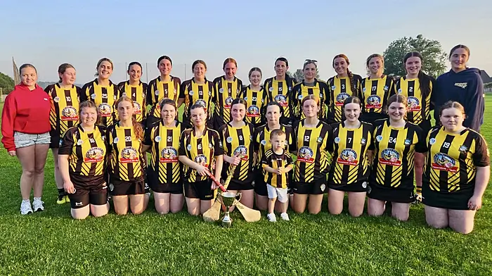 Kilbrittain-Timoleague crowned county champions Image