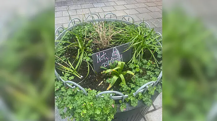 Butt out says Tidy Towns Image