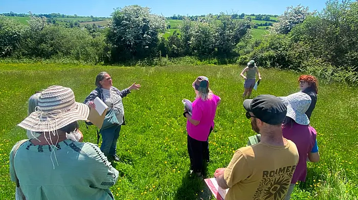 Ecologist Jo Goodyear recently delivering the Habitat Mapping Training on behalf of BEAG at Bandon Allotments.