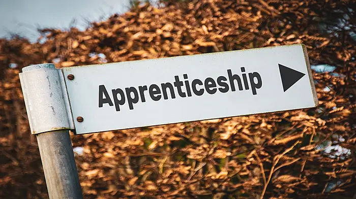 KNOW YOUR RIGHTS: Considering an apprenticeship Image