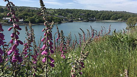 WILDLIFE: Take time to notice nature this June Image