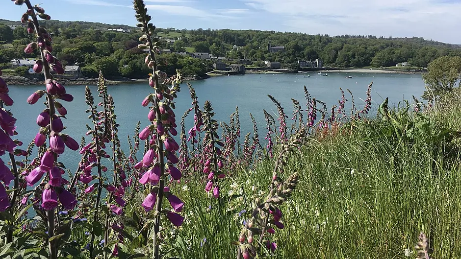 WILDLIFE: Take time to notice nature this June Image