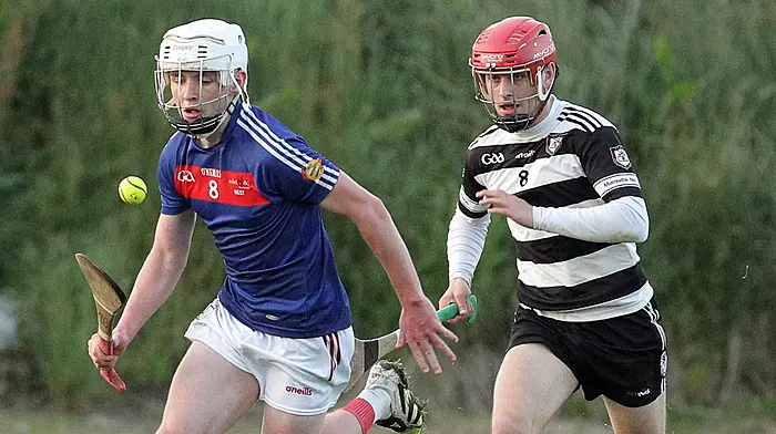 Six-goal Carbery U15 hurlers too strong for Midleton in Premier 1 clash Image