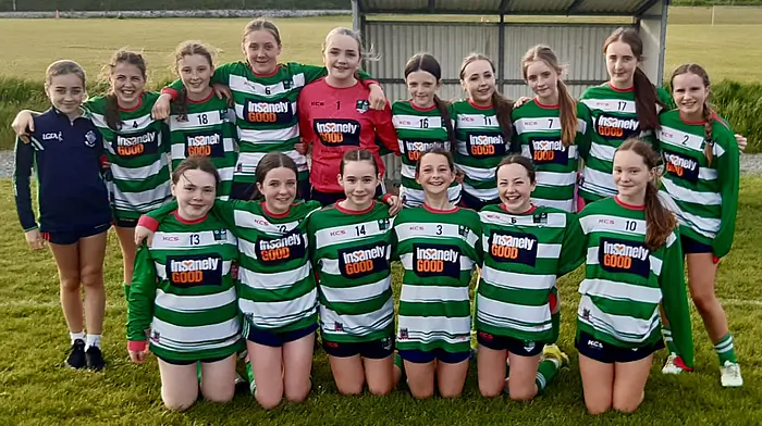 Dunmanway, Drinagh and Sullane schoolgirls in U14 title battle Image