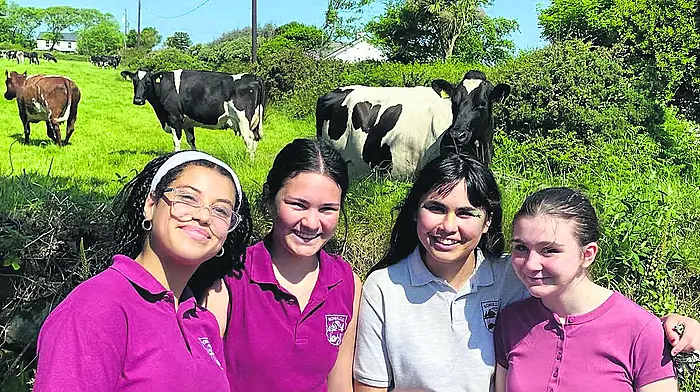 Caoilainn Cash, Hannah O’Driscoll, Martha O’Leary and Tara Callinan, third year studens at Schull Community College,  took advantage of the sunshine on their final day of school and enjoyed a walk on the Colla Loop.
