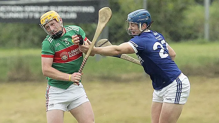 White hot Clonakilty hurlers strike Carbery Division 1 league gold Image