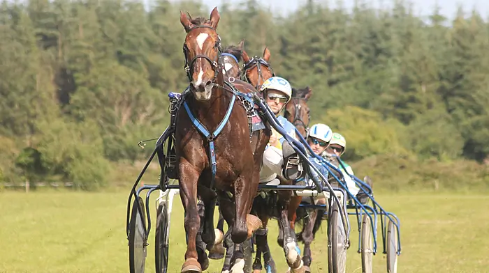 Get Me Out Of Here leads O’Reilly clan to double delight at Bishopsland Image