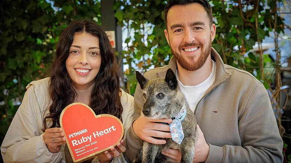 West Cork rescue dog named national 'Rescue Pet of the Year' Image
