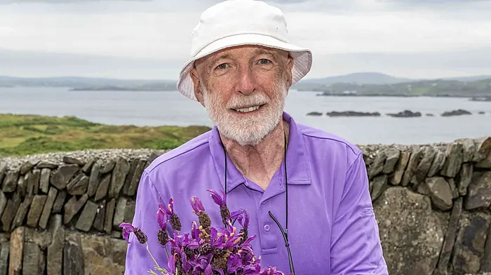 Cape Clear Lavender Festival returns to mark five years of great growth Image