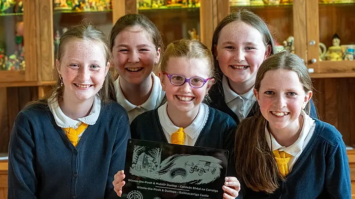Heritage experience narrated by school children and locals launches in Dunmanway Image