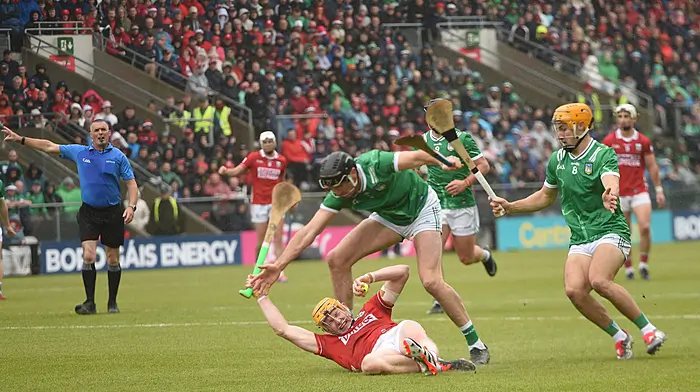 Late Limerick surge reclaims Munster hurling crown, but Cork's All-Ireland ambitions still alive Image