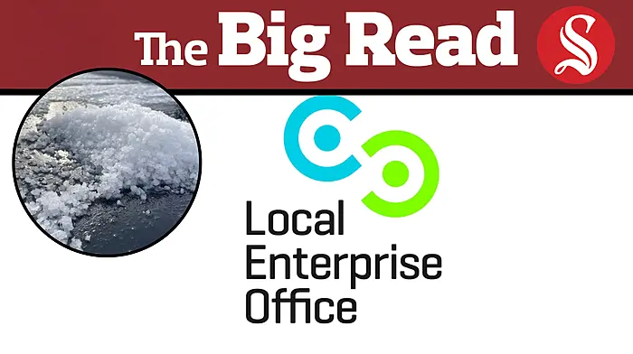 THE BIG READ: LEO backing businesses that are worth their salt Image