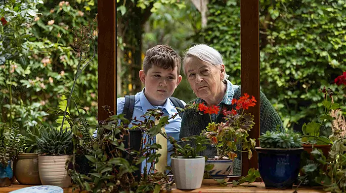 Irish language film made locally wins big at Celtic Media Festival Image