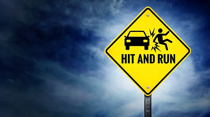 Builder in hit-and-run fined €1.5k, banned Image