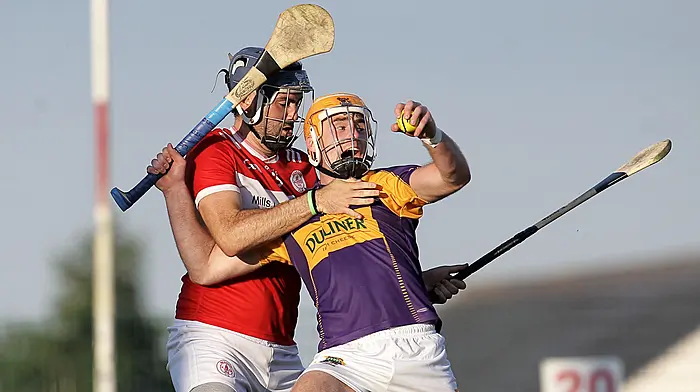 Carbery hurlers’ brave bid ends in defeat Image
