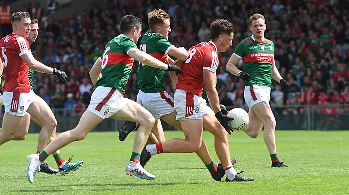 JOHN HAYES: Opportunity knocks for Cork to take another step forward in Croke Park Image