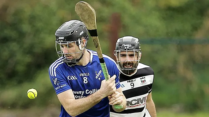 Bantry Blues and St Oliver Plunkett’s could meet in all Wesy Cork county junior B hurling final Image