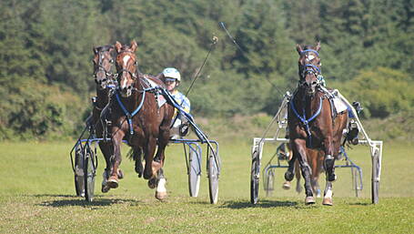 Ayr Beach caps memorable weekend for Derry McCarthy Image