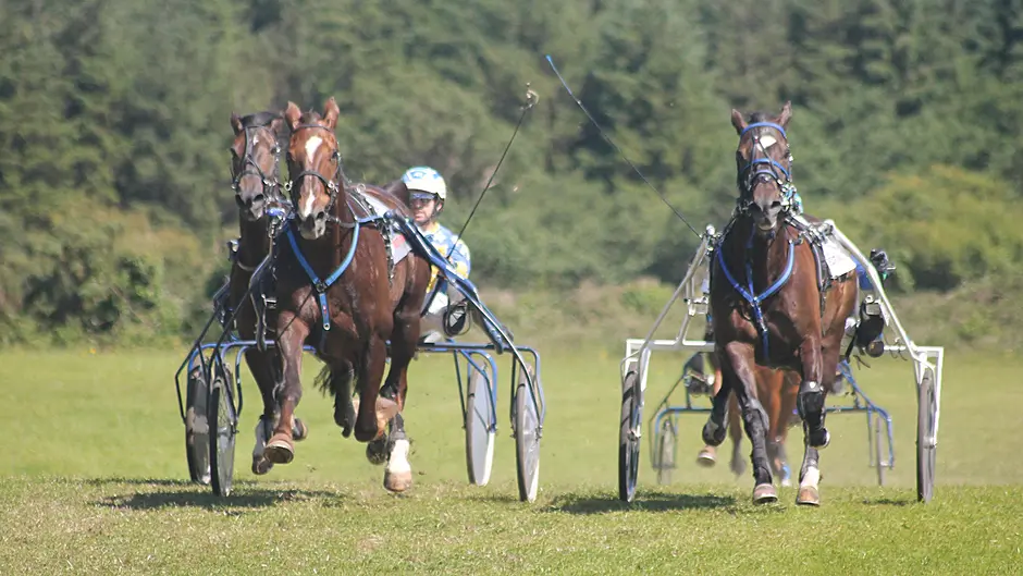Ayr Beach caps memorable weekend for Derry McCarthy Image