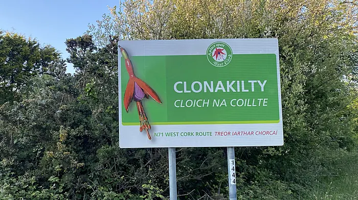 New community hub opens in Clon to boost disability services Image