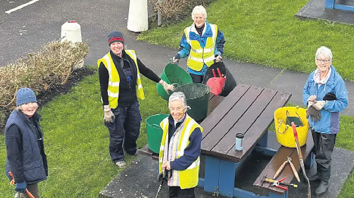 Baltimore Tidy Towns Image