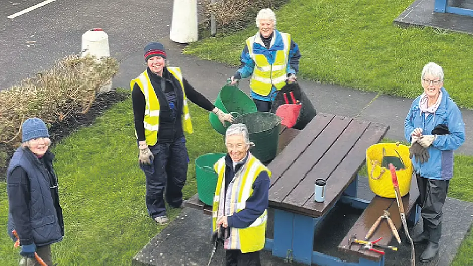 Baltimore Tidy Towns Image