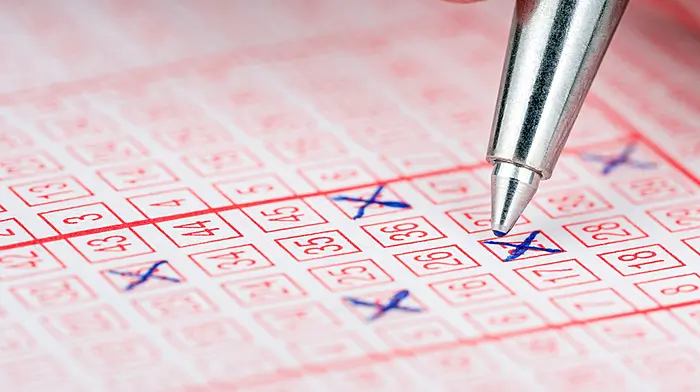 Field’s of Dreams for one lucky Lotto player with €250k golden ticket sold in Skibbereen Image