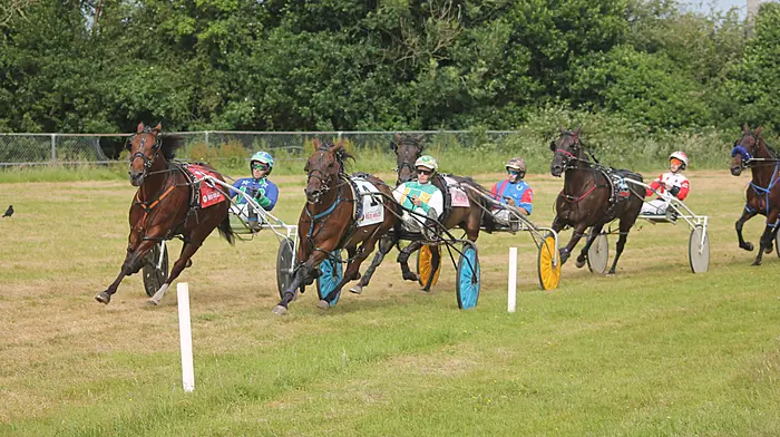 Jamie Hurley drives terrific treble at the Old Chapel Memorial Day in Dunmanway Image