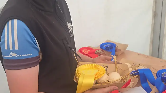 Kyle Deasy, Maulnaskimlehane, Kilbrittain won an award for his free range eggs at the Cork Summer Show.