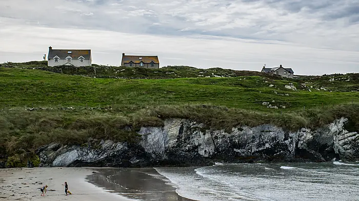 Sherkin Island festival named one of Ireland's best for capturing the moment Image