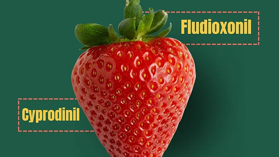 Report shows high rate of pesticides in strawberries Image