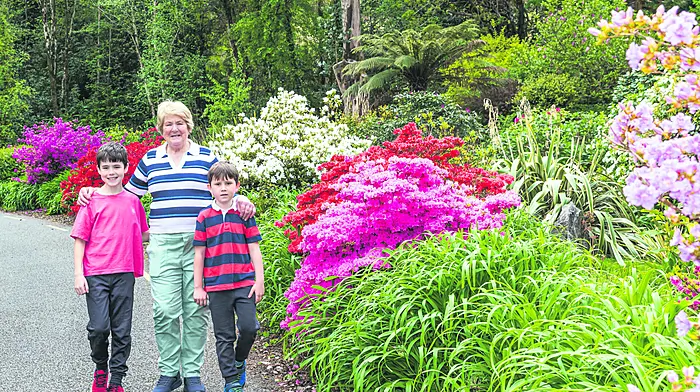 Peg O’Brien with her grandsons Luke and Ben McCarthy. Peg loves her garden and her Azaleas which grow by the roadside at the bottom of the Healy Pass in Lauragh on the Beara Peninsula always attract huge attention from passing traffic.  (Photo: Anne Marie Cronin)