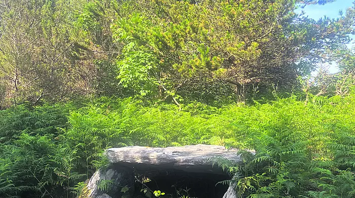 Mary O’Regan, Kilbronogue, captured this photo of the Kilbronogue wedge tomb in the evening sunlight.