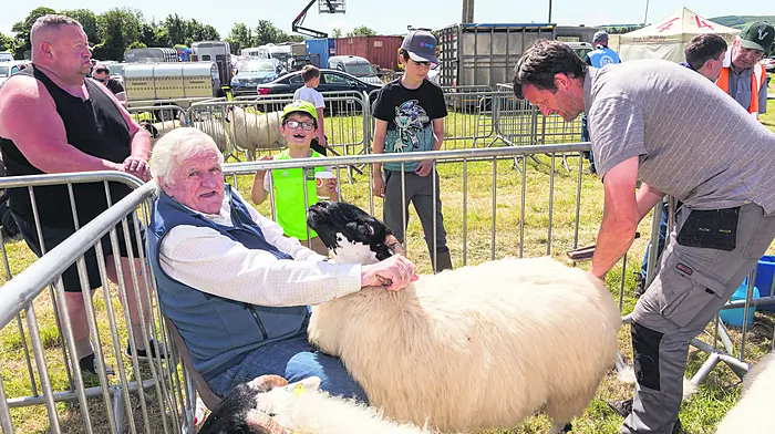 Dan McCarthy from Glengarriff holding the horns of a scotch sheep while his son Teddy grooms it  at the Dunmanway Agricultural Show.  (Photo: David Creedon)