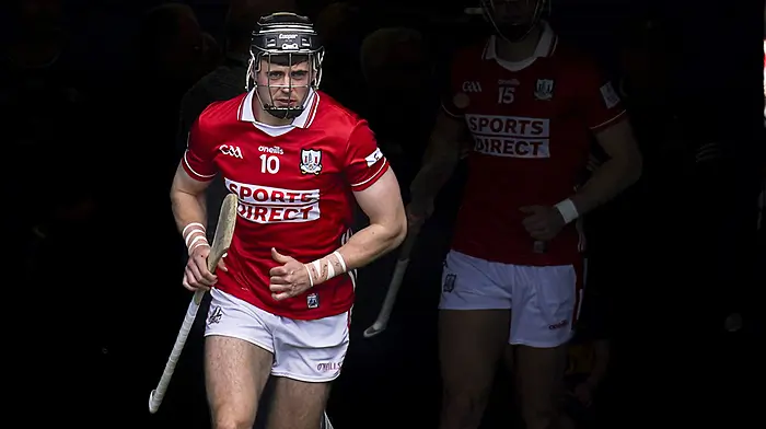 Darragh Fitzgibbon: In the playing group, we appreciate Damien Cahalane more than anybody Image