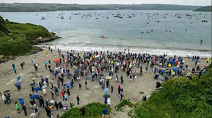 Dead in the water: end of the line for Kinsale mussel farm project Image