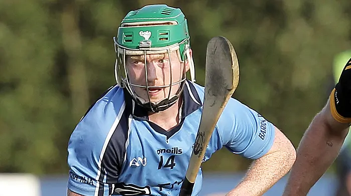 Barryroe hurlers secure promotion to Division 6 Image