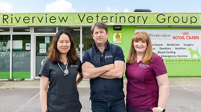 Revamp for Riverside Vets to celebrate 25 years Image