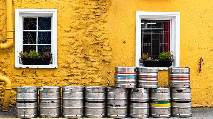Senator calls for a dedicated support scheme to protect rural pubs and their role in communities Image