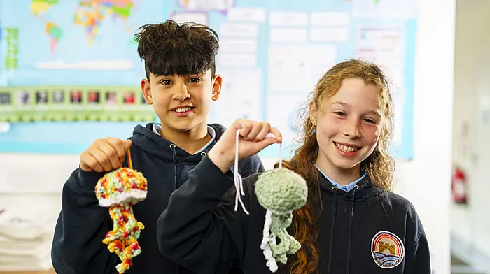 Bandon students have enterprise awards all stitched up with Cosy Crochet range Image