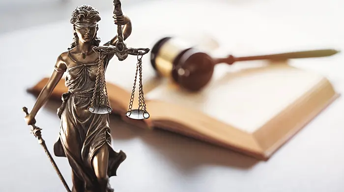 High Court urges out-of-court settlement in Criminal Legal Aid Scheme judicial review Image