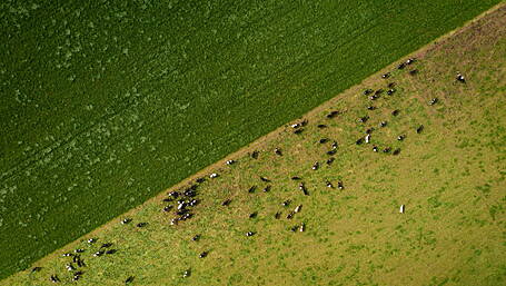 Farm incomes ‘in recovery’ as Teagasc survey records gains Image