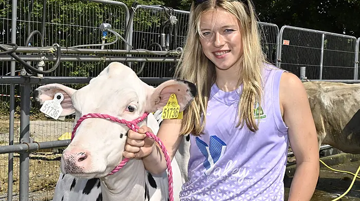 Emer Collins, Kilpatrick, Bandon holding a fresian heifer at the 68th annual Barryroe Show in Páirc Uí Mhurchú in Barryroe. Photo: Martin Walsh.
