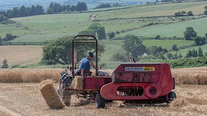 Brian Collins (Innishannon) baling straw with a 1960 David Brown 850 tractor and a 1959 David Brown Albion baler at The West Cork Vintage Ploughing & Threshing Association Vintage Harvest Day at Farren, Ballinascarthy, Co Cork, in aid of Friends of Clonakilty Hospital, Horizon Clonakilty (formerly Cope), Jack & Jill Foundation and Darrara National School New Autism Unit.Picture: David Patterson, Tractor Run – Cork