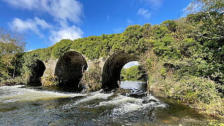 WILDLIFE: Understanding rivers from the bottom up Image