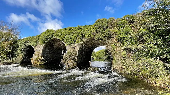 WILDLIFE: Understanding rivers from the bottom up Image