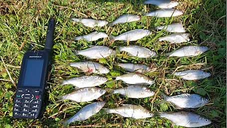 Several hundred fish killed at Dunmanway lake Image