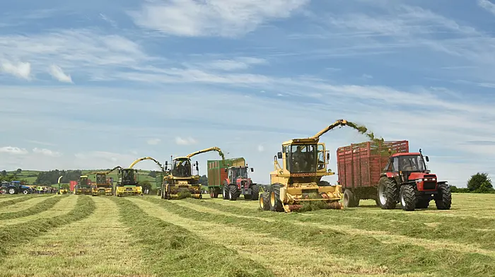 Ahiohill Vintage Harvest Day set for August 2nd Image